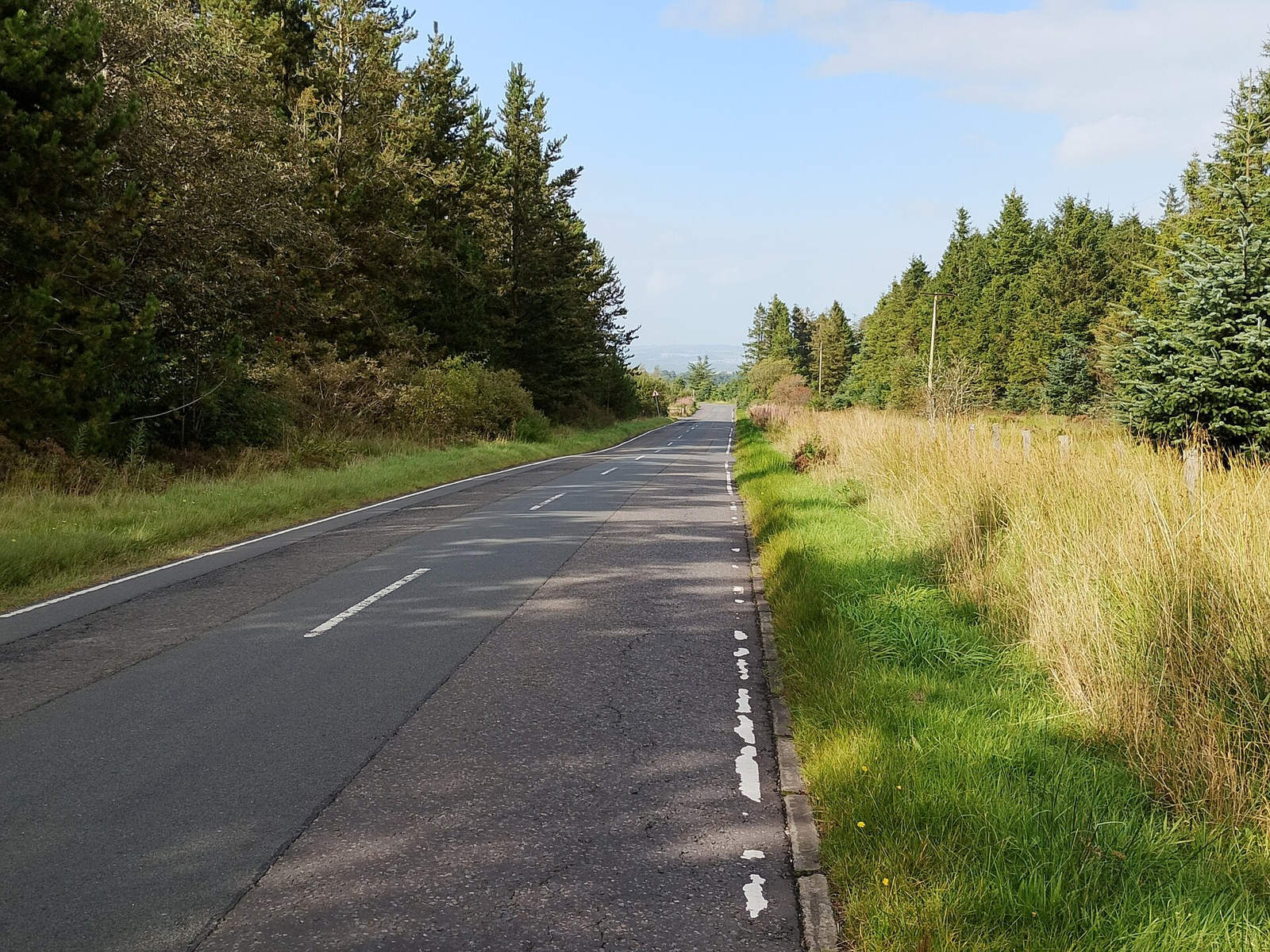 A rural road descending between woodland and grass verges in West Lothian.
